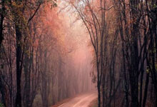 问鼎体育：10分11助攻 赵继伟超越郭艾伦加冕本土助攻王.