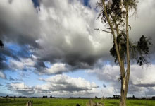 2025网球联合杯赛程出炉，张之臻、郑钦文领衔中国队环球时报.