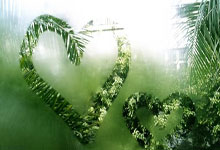 问鼎体育：2025年01月14日阿曼超杯锡卜vs佐法尔历史战绩，交战记录，比分预测.