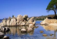 问鼎体育：2023至2024国际滑联速度滑冰世界杯北京站比赛将在“冰丝带”开赛央视新闻客户端.